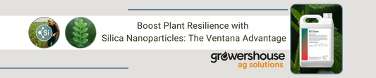 Boost Plant Resilience with Silica Nanoparticles: The Ventana Advantage