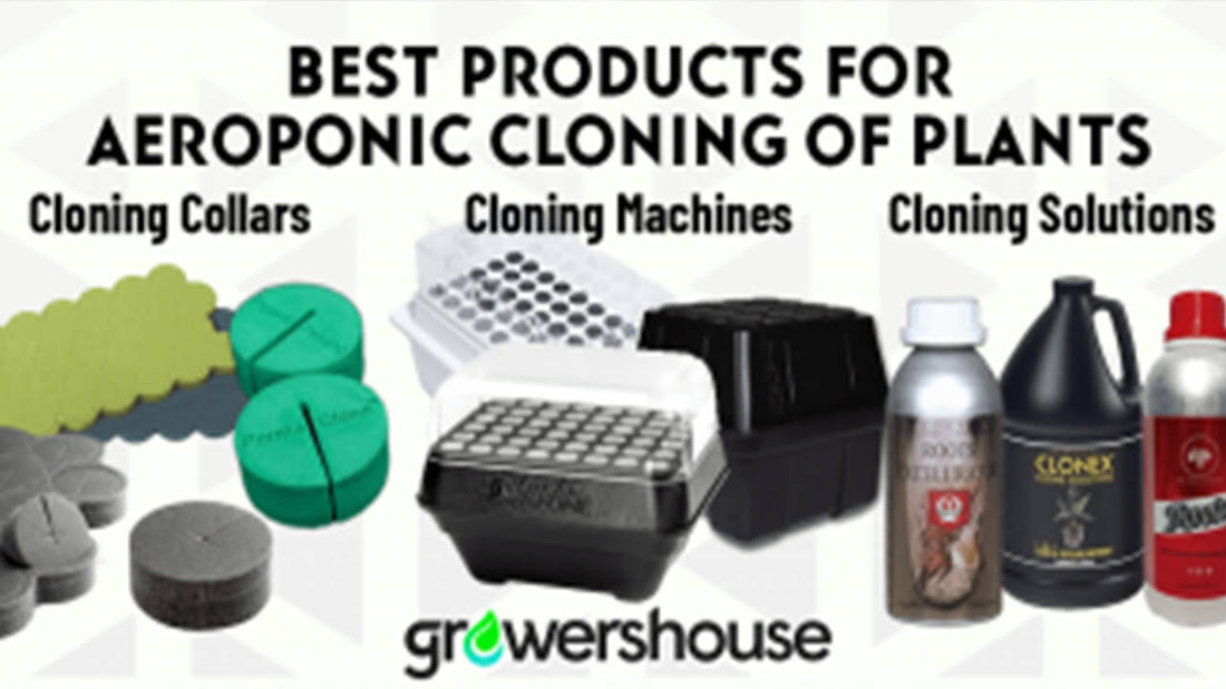 Nutrient Buyers Guide: How To Choose The Right Nutrient For Your Hydroponics or Indoor Garden
