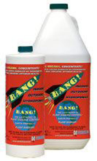 Bang Insecticide 1 Liter