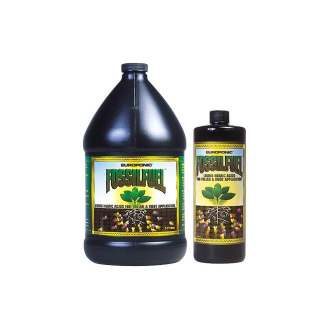 Fossil Fuel -- Quart