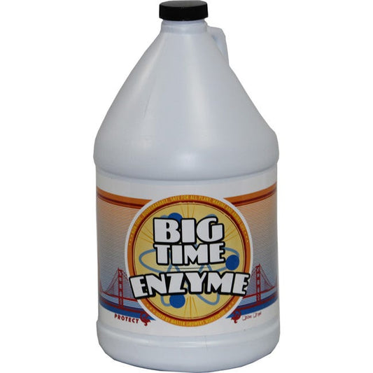 Big Time Enzyme 1 GAL