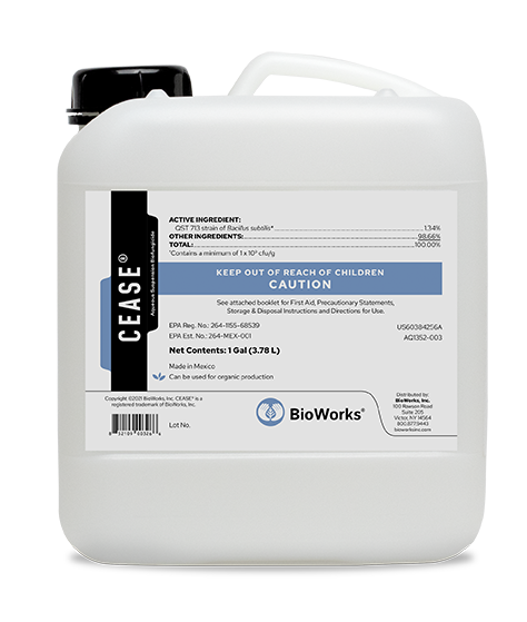 BioWorks Cease Microbial Fungicide And Bactericide OMRI Listed 5 Gallons (2 X 2.5 Gallon Bottles) Main Image