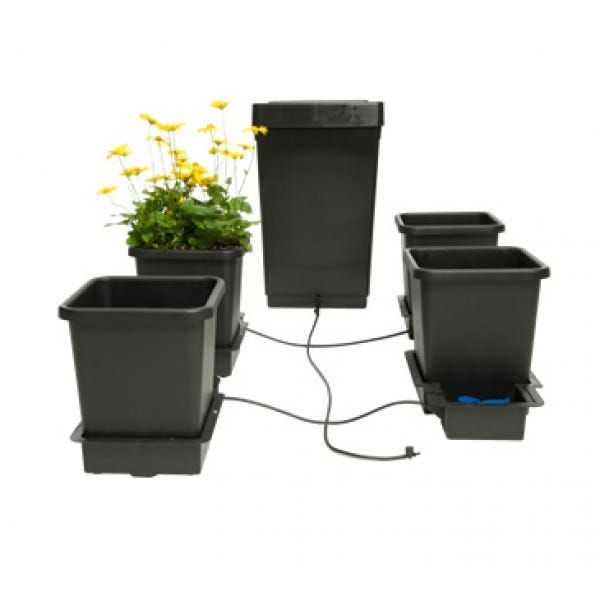 AutoPot - 4 Pot System