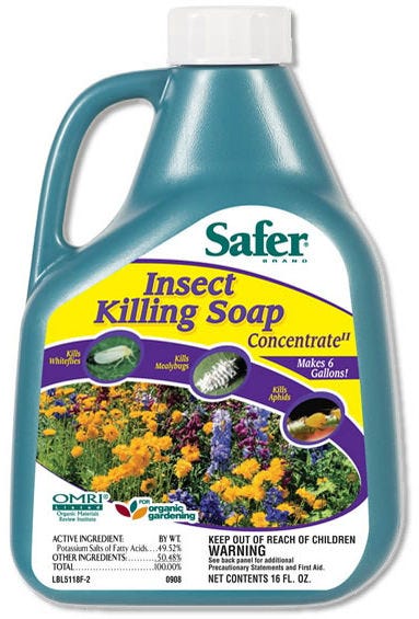 Safer Insect Killing Soap II Concentrate