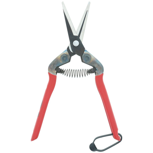 Chikamasa Scissors T-55C
