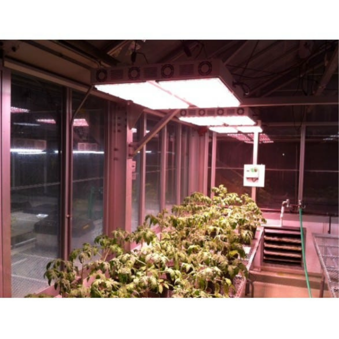 Apache Tech AT600 indoor grow room