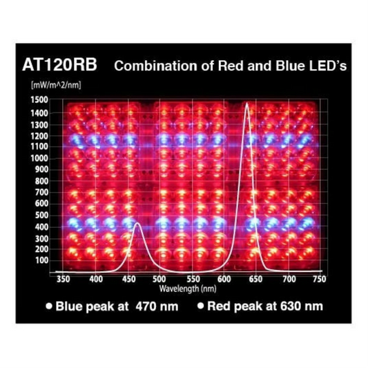 Apache Tech Red and Blue LEDs AT120RB main image