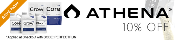 Athena PERFECTRUN 10% OFF