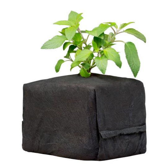 Botanicare Coco Pro Cube 6x6x6  perfect for hydroponics
