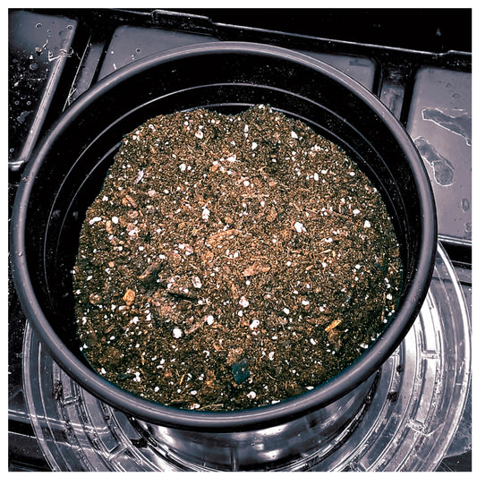 Botanicare Organicare True Earth Potting Mix soil