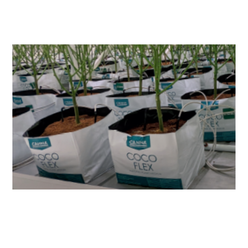 CANNA coco flex how to use