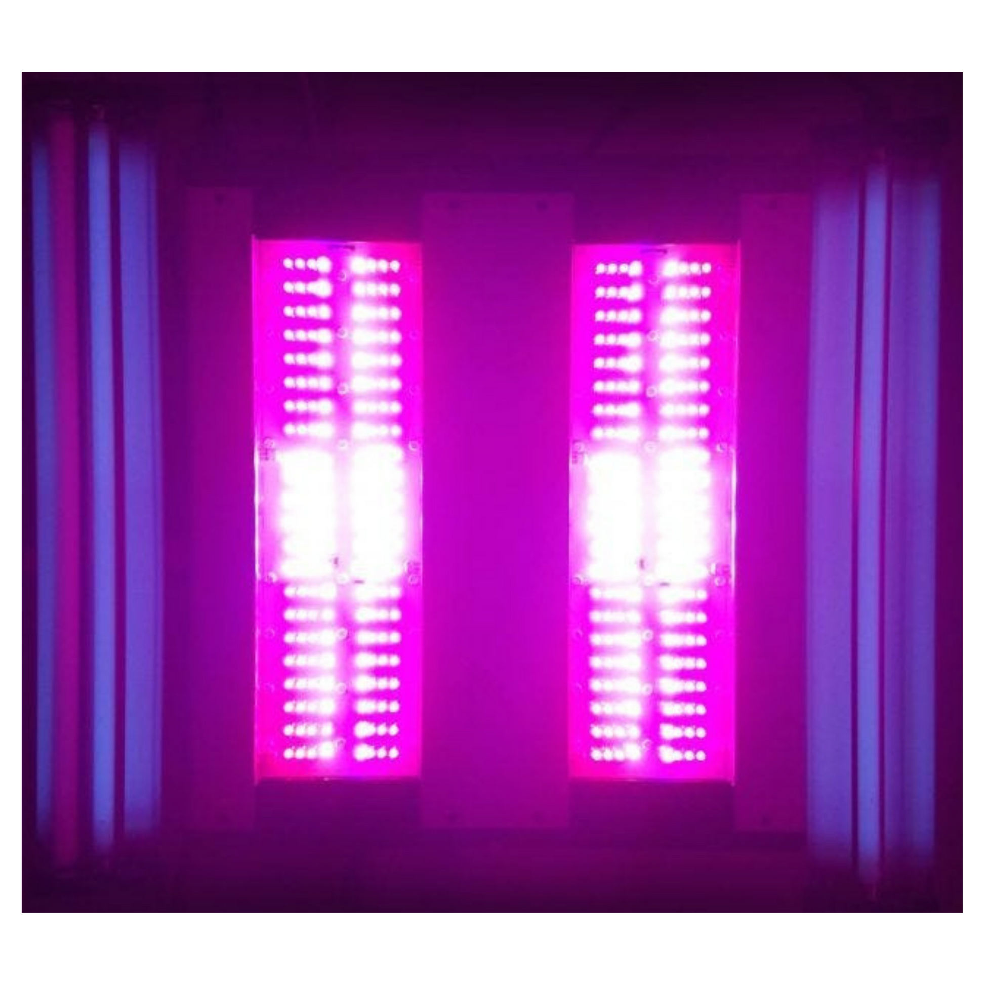 California LightWorks SolarSystem 1100 UVB lights