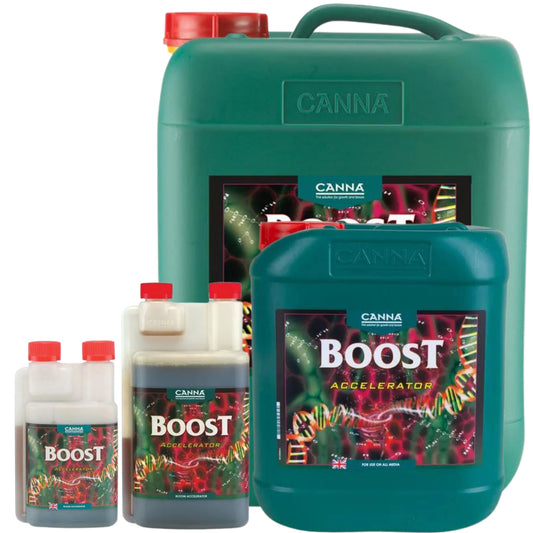 Canna Boost Accelerator family
