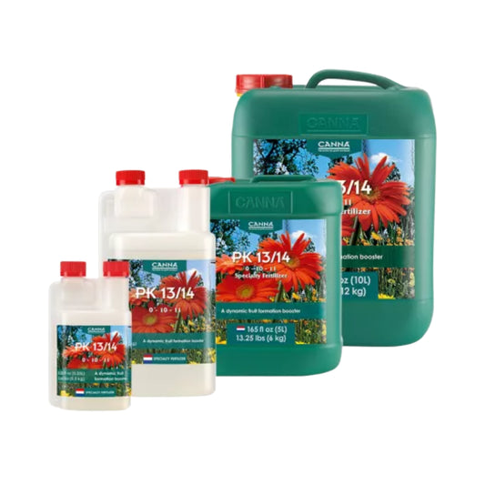 Canna PK 13_14 family