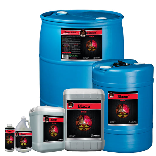 Cutting Edge Solutions Bloom family