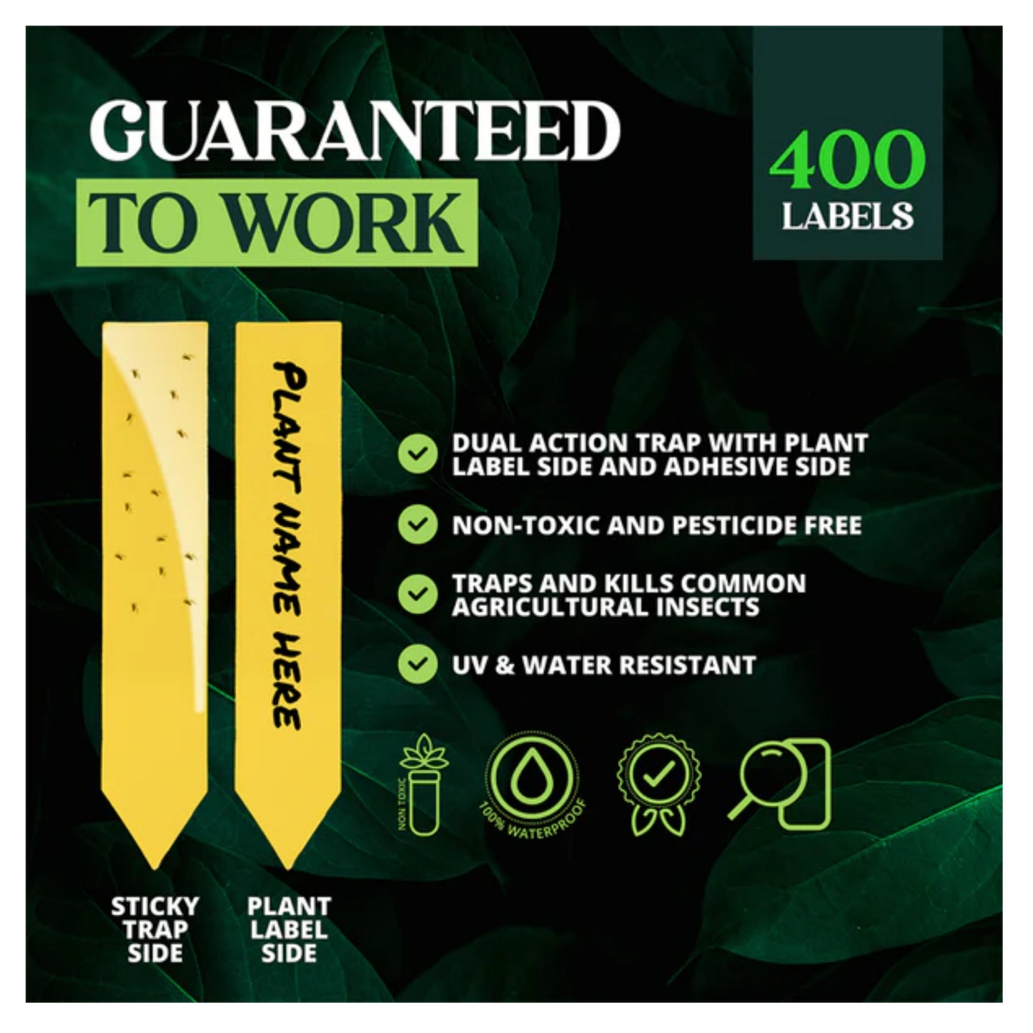 Dual Action Plant Label & Sticky Traps effective