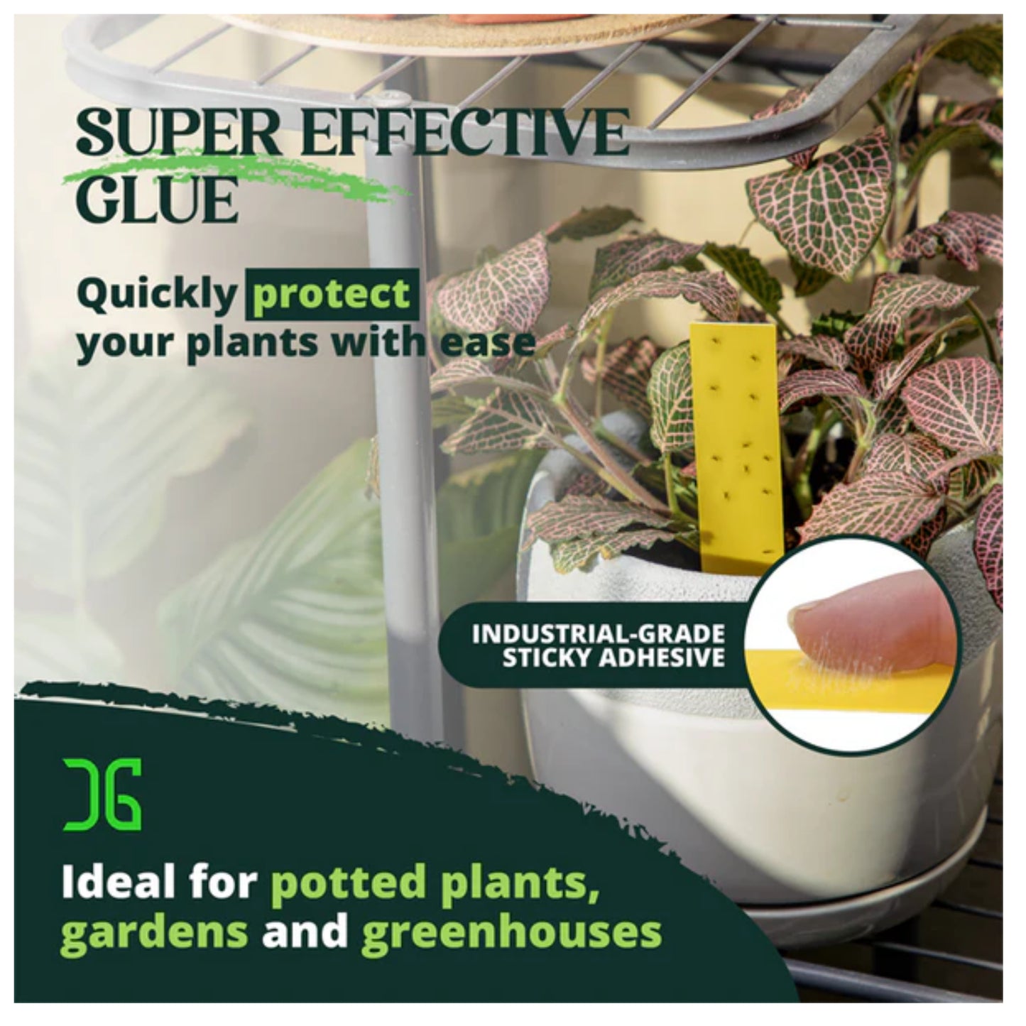 Dual Action Plant Label & Sticky Traps super glue
