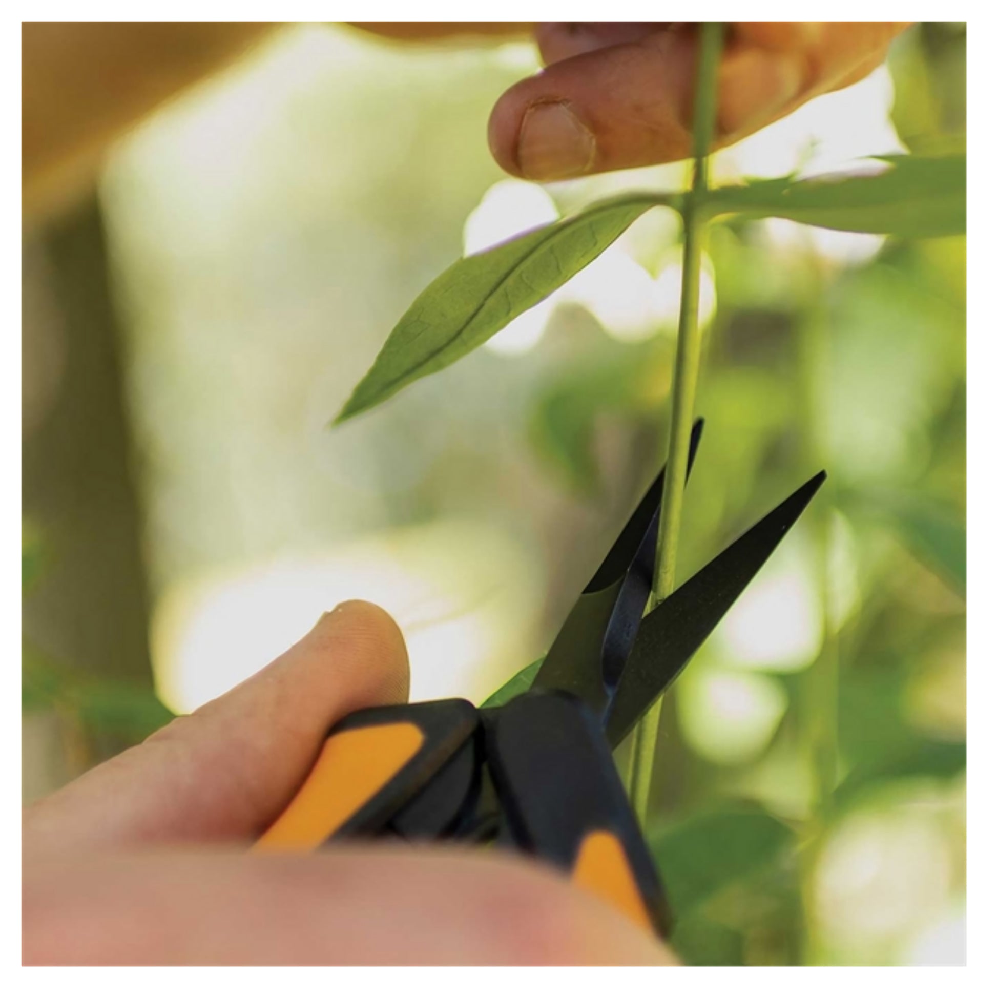 Fiskars Non-stick Micro-Tip® Pruning Snips precision blades