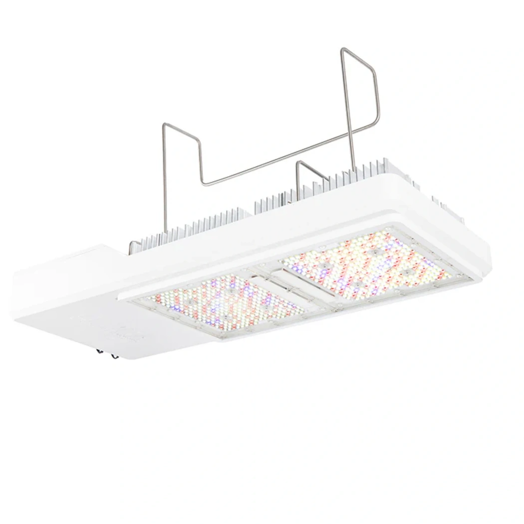 Gavita Pro CT 1930e LED Grow Light 780W 1930 µmol/s – GrowersHouse