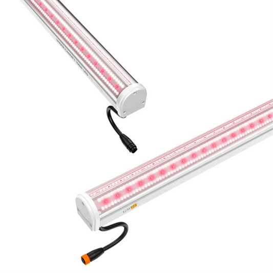 Gavita Under Canopy LED - UCL 150w plugs