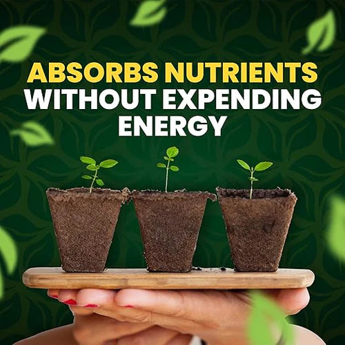 GreenGro GREEN AMINOS Absorbs Nutrients