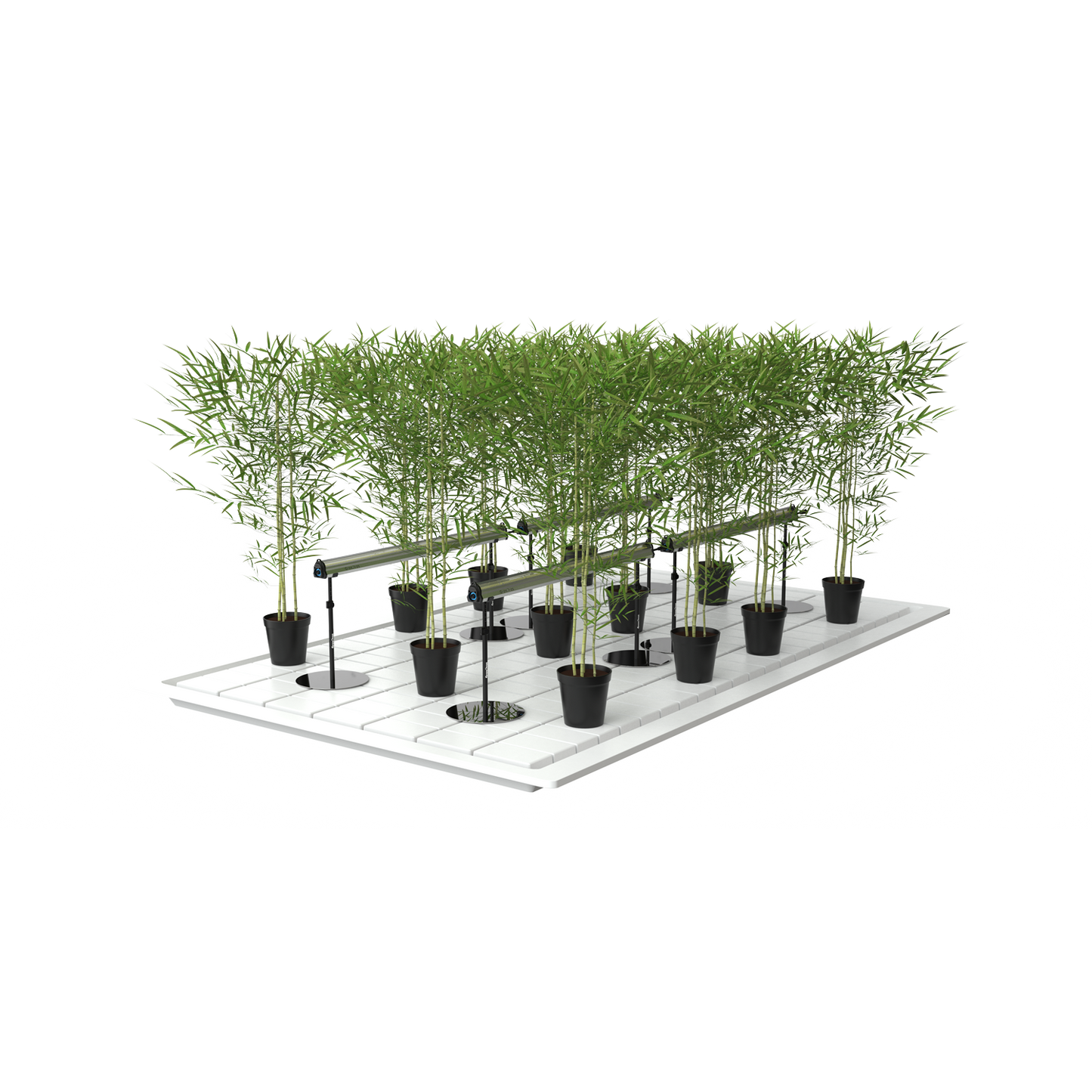 GrowPros Solutions Under Canopy Light On Stand In Use