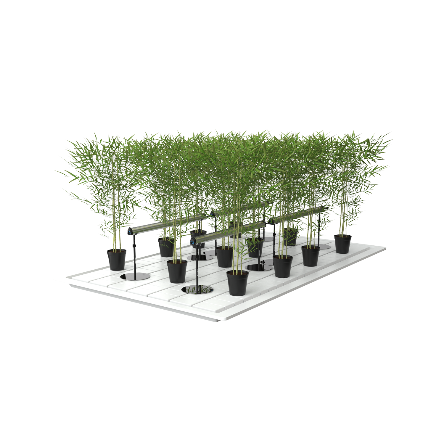 GrowPros Solutions Under Canopy Light On Stand In Use