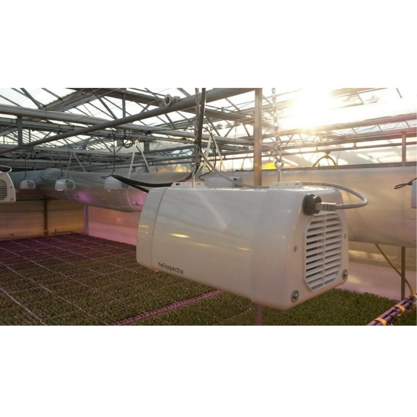 HHeliospectra LX601C LEDS hang position