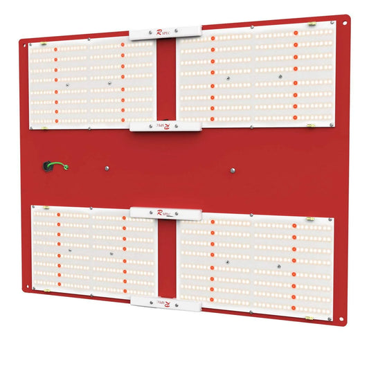 HLG600 R Spec main image