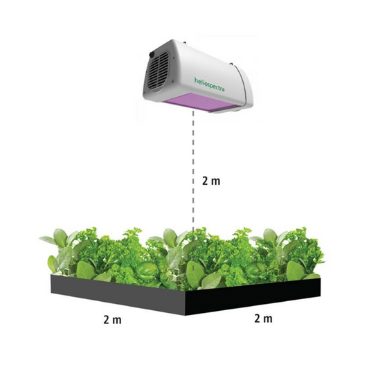 Heliospectra LX602C distance from hydroponics