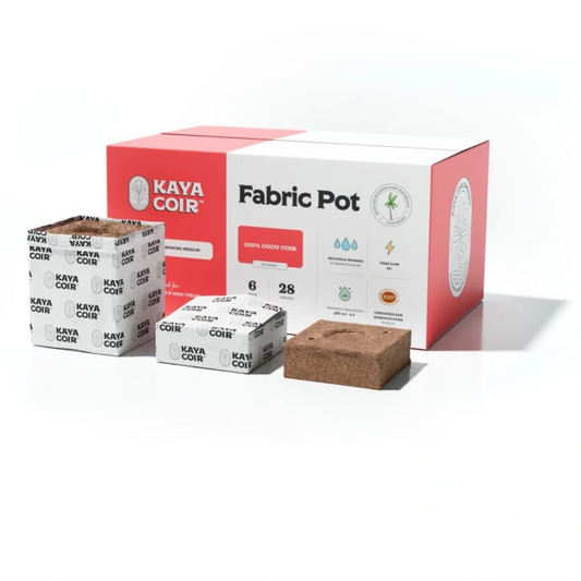 Kaya Coir 6in Fabric Pot