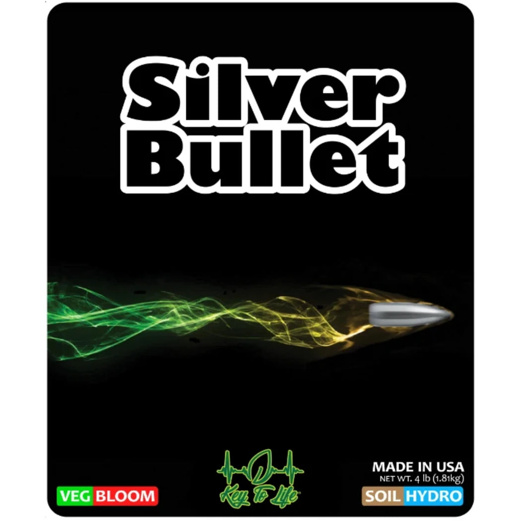 Key To Life Silver Bullet