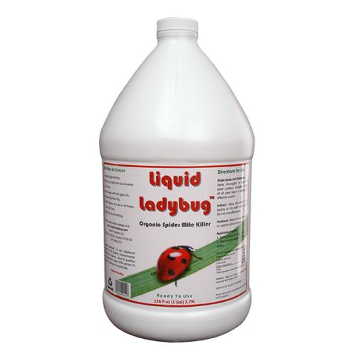 Liquid Ladybug Conc 1 Gal