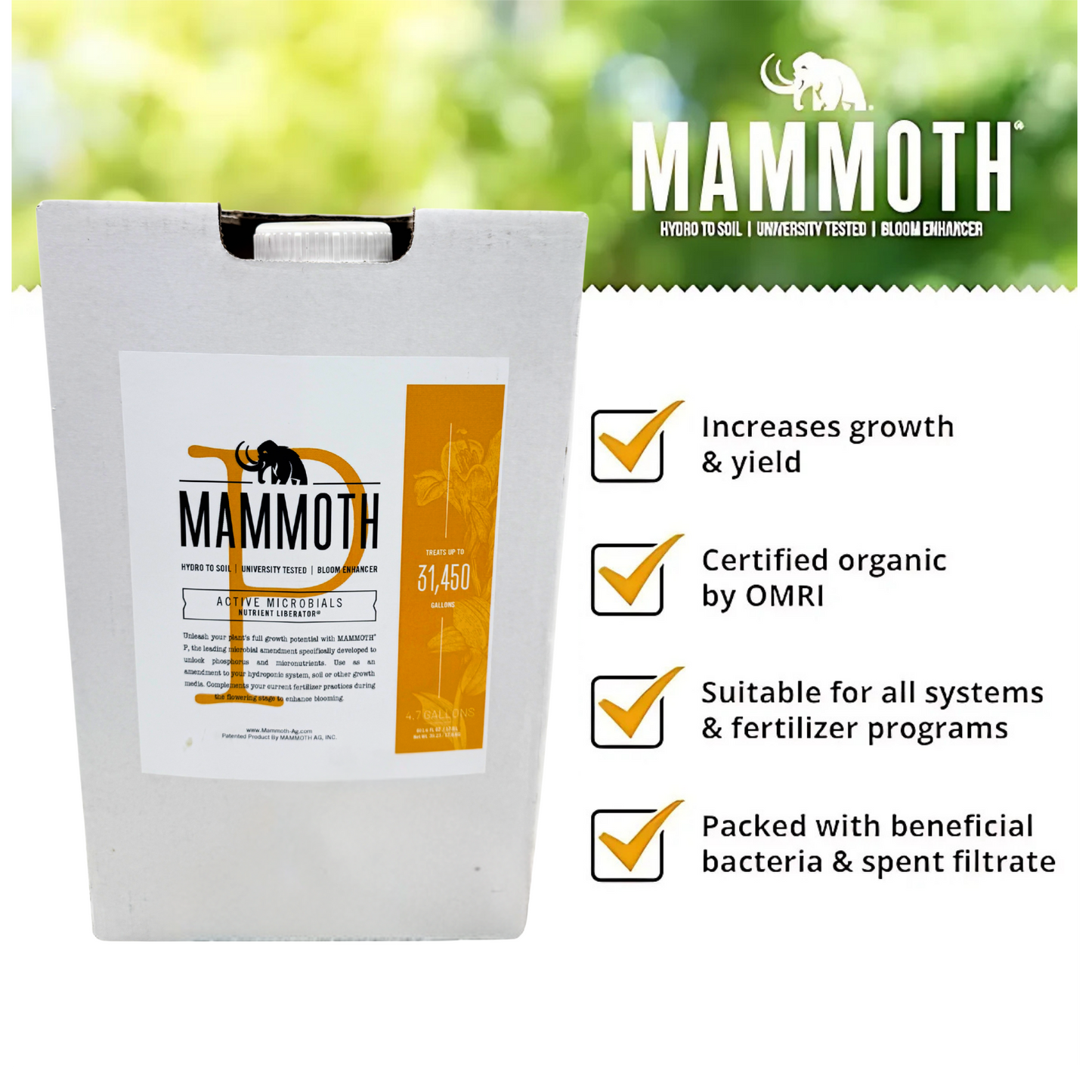 Mammoth P Active Microbials Keypoints