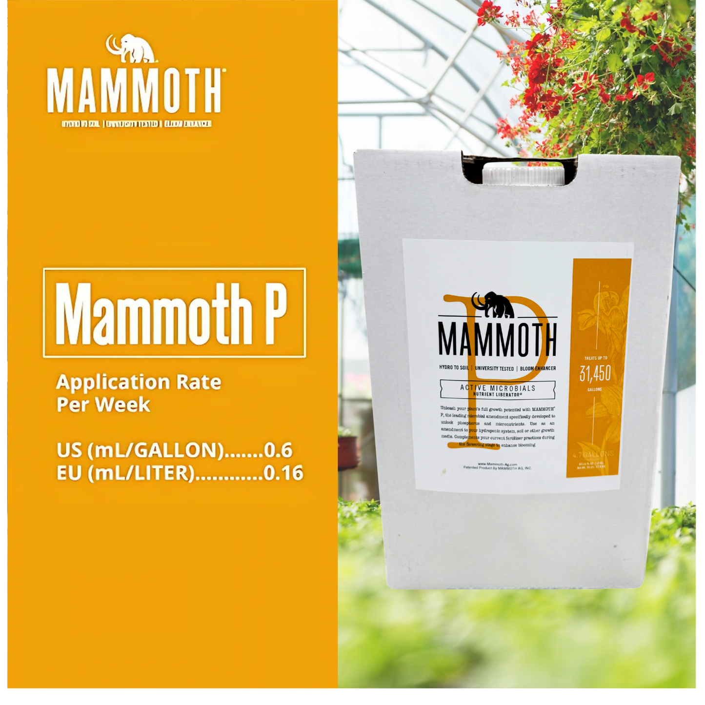 Mammoth P Active Microbials Application Rate