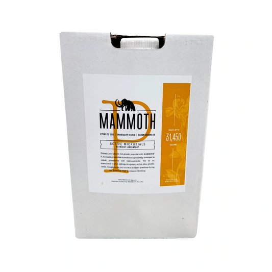 Mammoth P 5 Gallons