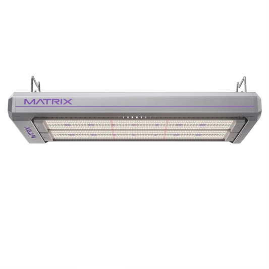 Matrix Vega Dyna 1000W LED hang position