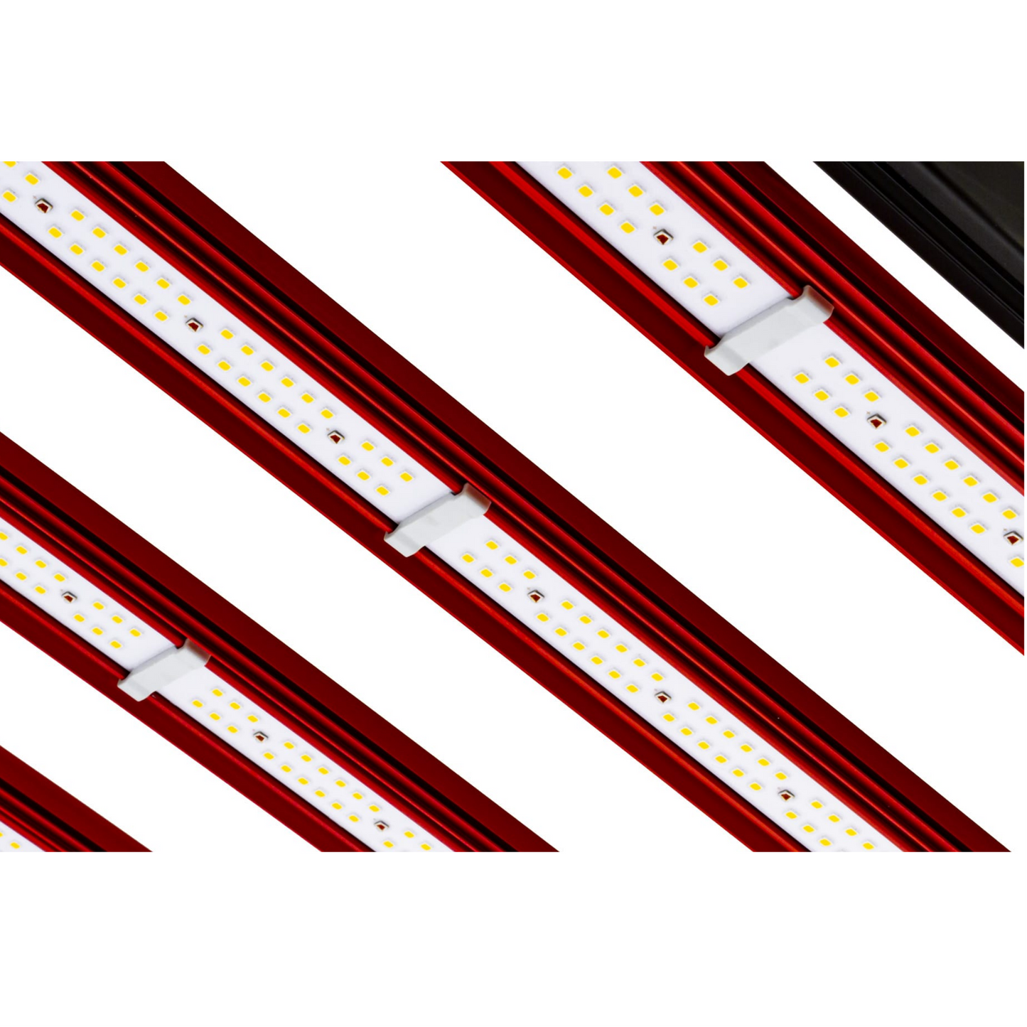 PhotonTek XT 1000W CO2 Pro leds