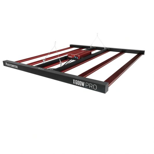 Photontek X 600W Pro top view