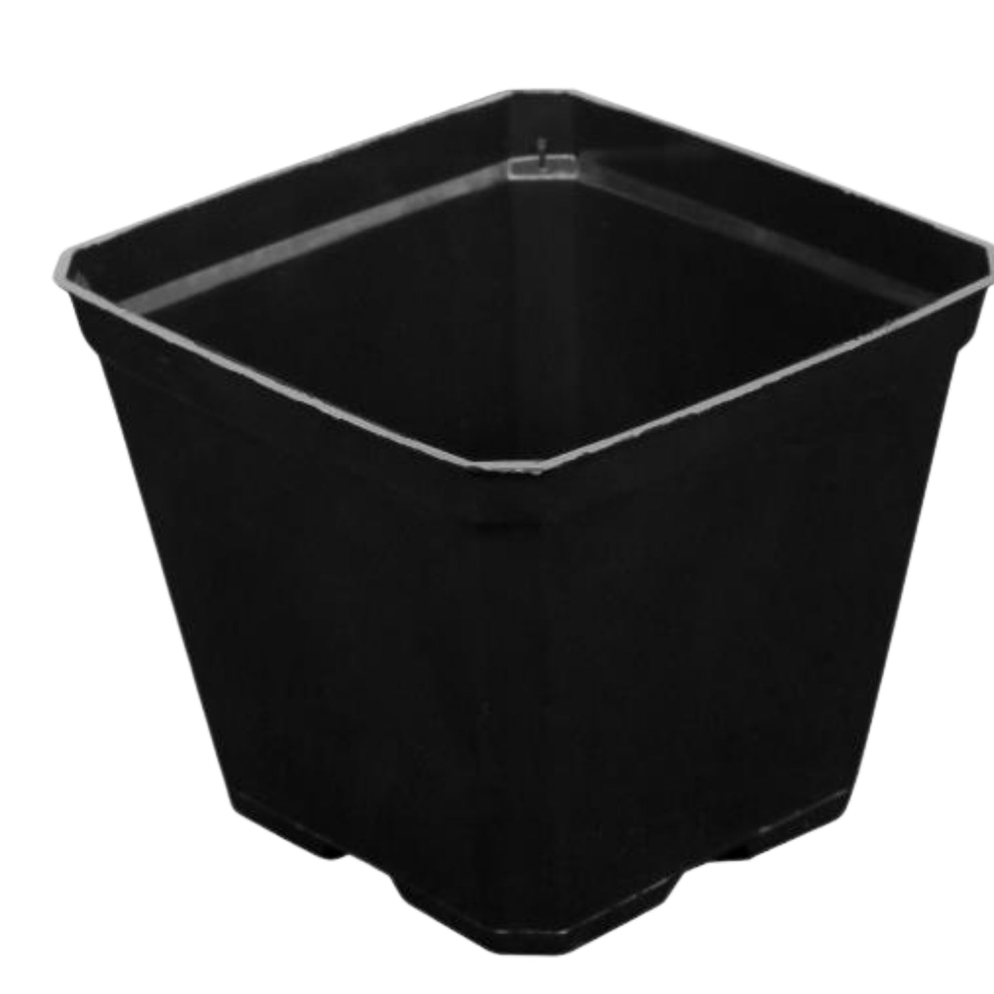 Premium Square Black Plastic Pots