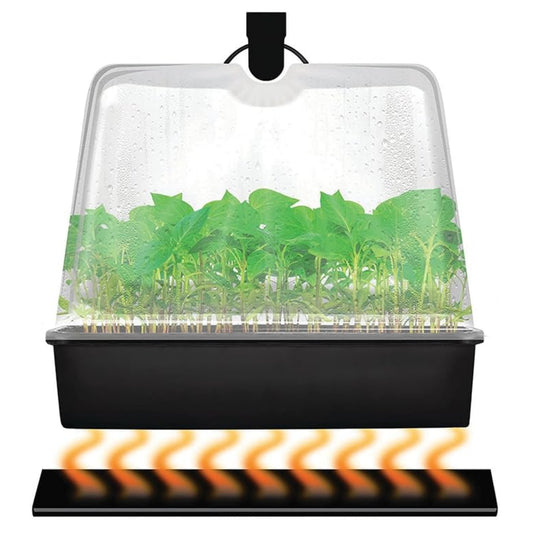 Super Sprouter Premium Germination & Propagation Kit in action