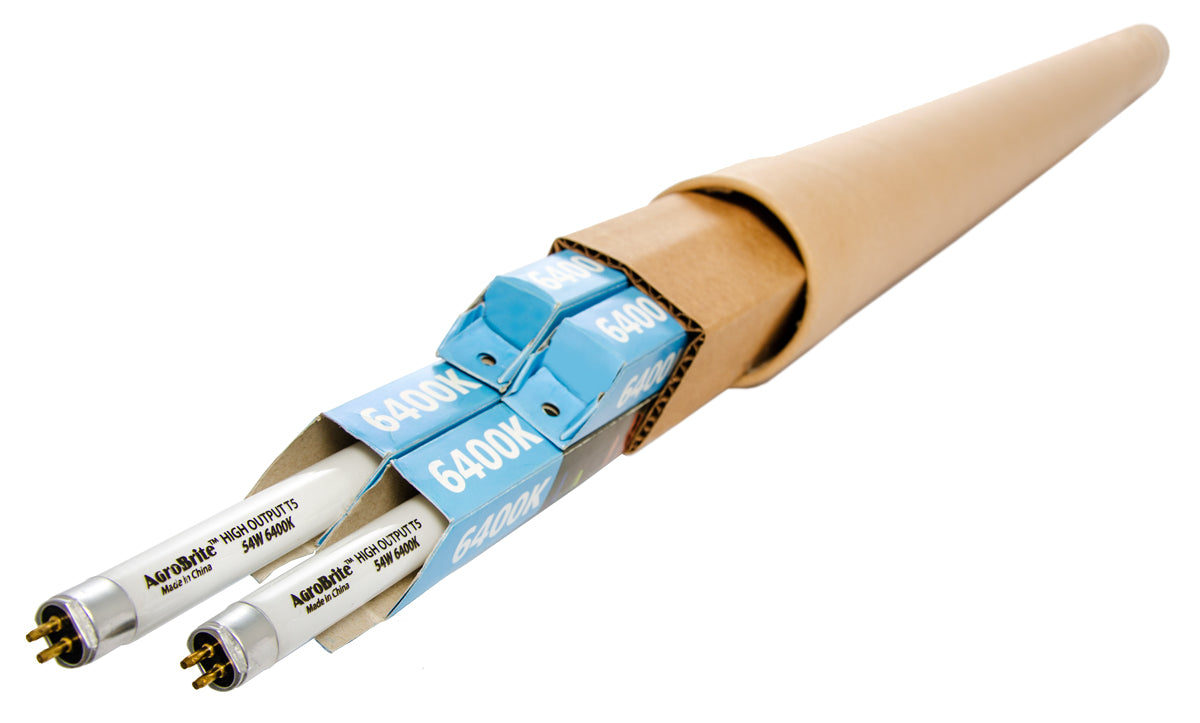 T5 2' Replacement 6400K Bulbs, 24W - 4 Pack