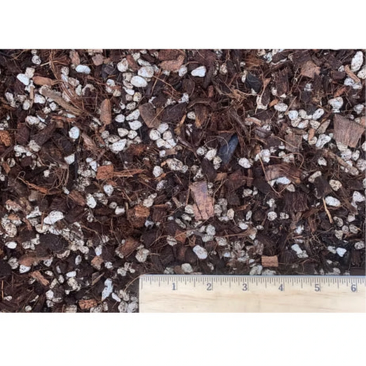 TANK'S-House Plant Potting Mix