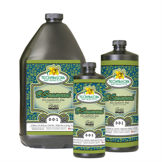 Technaflora B. Seaweed family