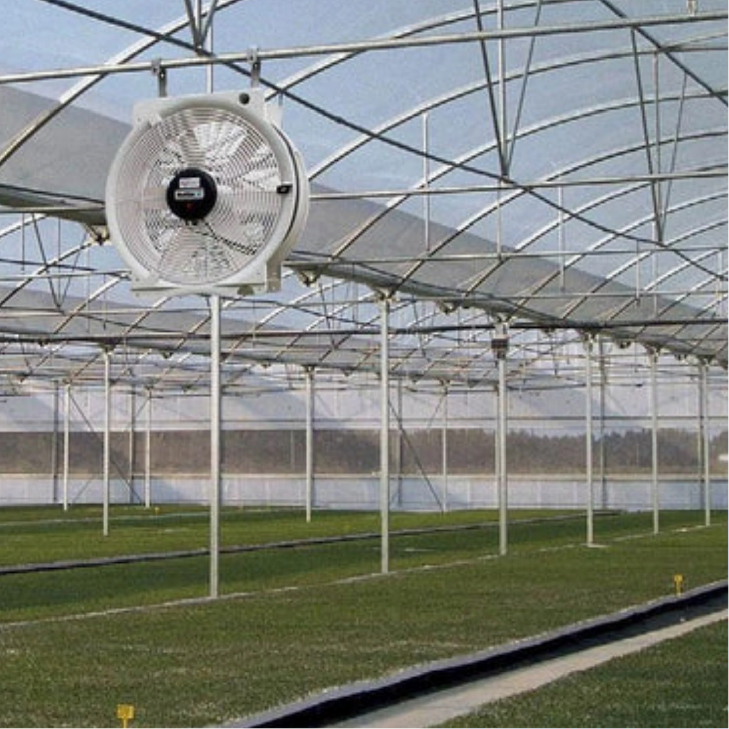 Vostermans Multifan Greenhouse HAF Q Fan 16in in action