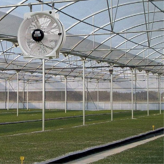 Vostermans Multifan Greenhouse HAF Q Fan 20in 240v in action