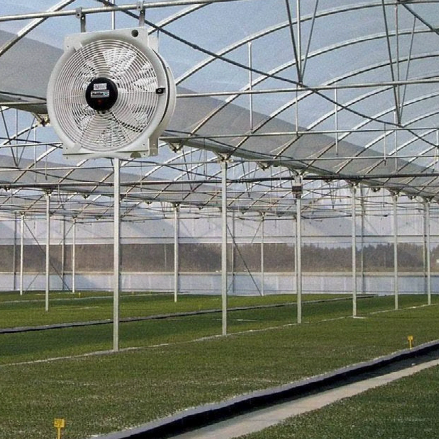 Vostermans Multifan Greenhouse HAF Q Fan 20in 240v in action