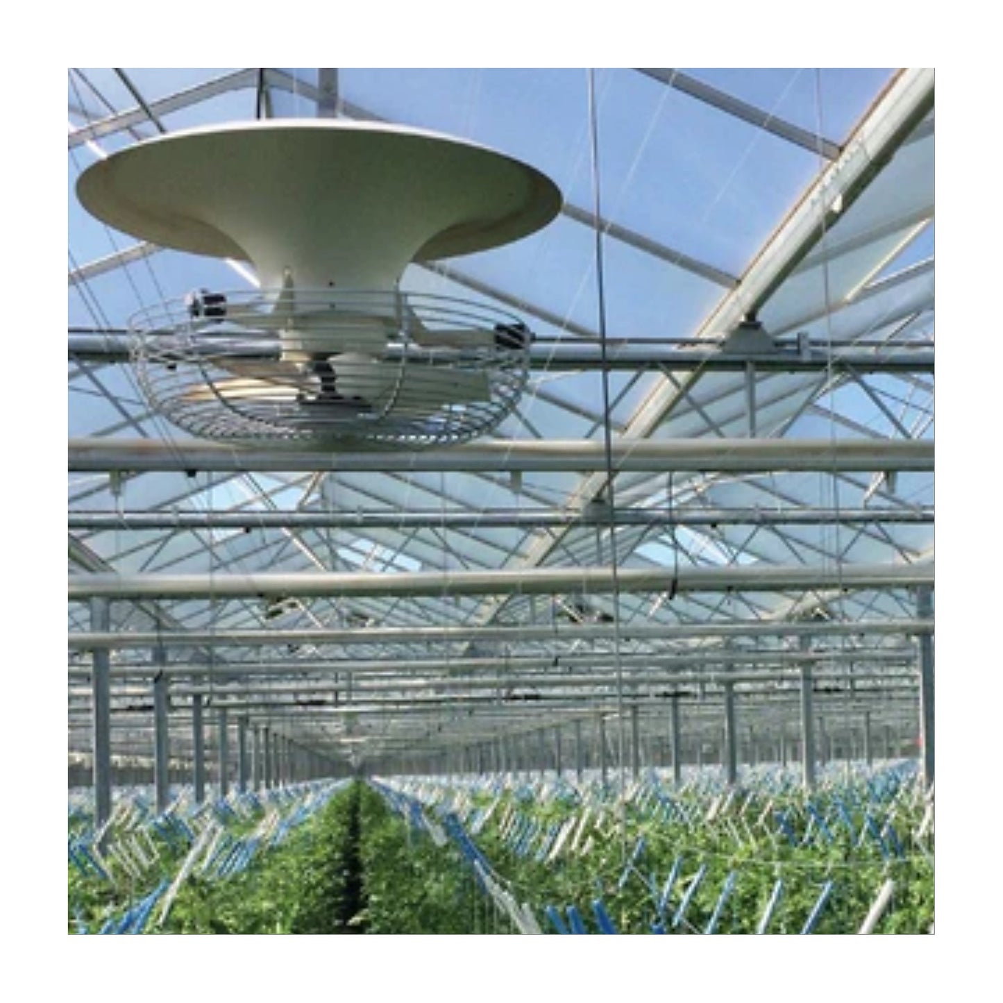 Vostermans Ventilation Multifan V-Flo Fan V2.0 in action