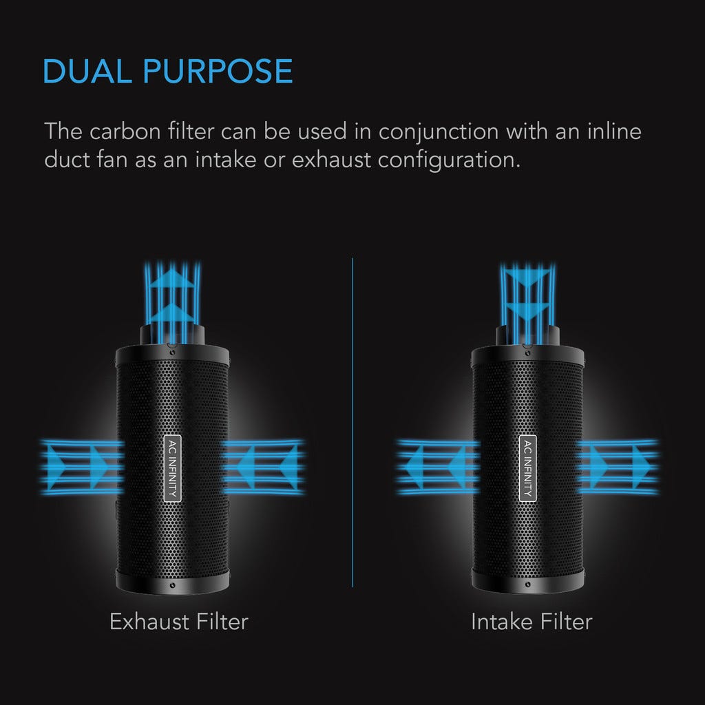 6-Inch Main Image