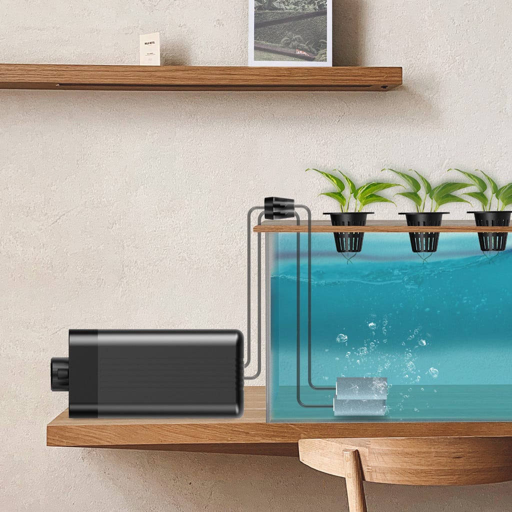 45 GPH (2.8 L/M) Air Pump System